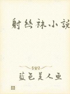 射丝袜小说封面