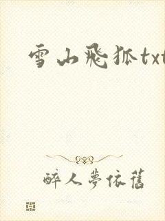 雪山飞狐txt