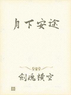 月下安途封面