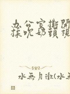 办公室撕开奶罩揉吮奶头视频