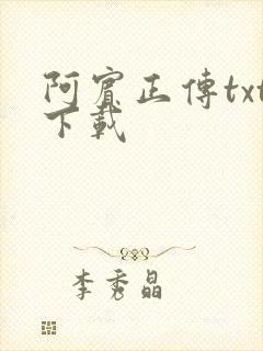 阿宾正传txt下载