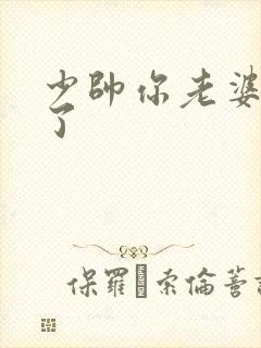 少帅你老婆又跑了封面