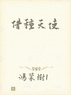 借种天使封面