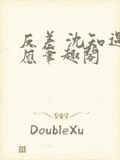 反差 沈知遇晏应笔趣阁