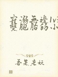 宠溺无边1v3双胞胎的小说