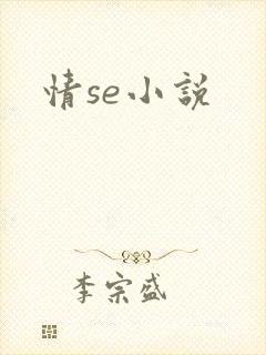 情se小说