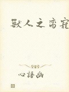 兽人之脔宠封面