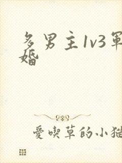 多男主1v3军婚
