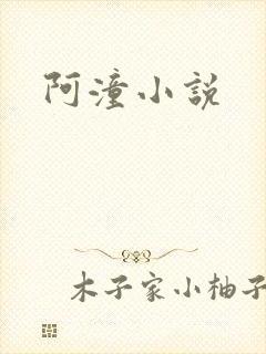 阿潼小说封面