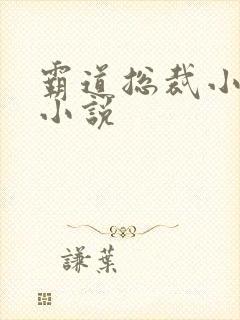 霸道总裁小娇妻小说