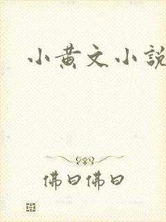 小黄文小说