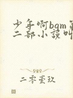 少年啊bgm第二部小说叫什么
