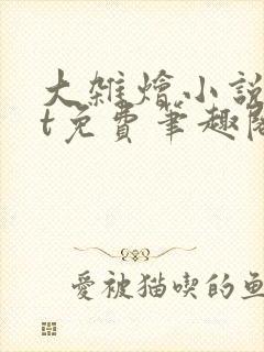 大杂烩小说txt免费笔趣阁