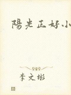 阳光正好小说封面