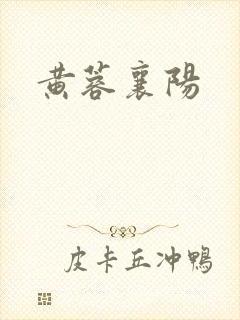 黄蓉襄阳