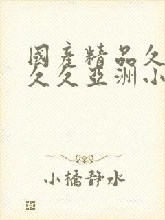 国产精品久久久久久亚洲小说