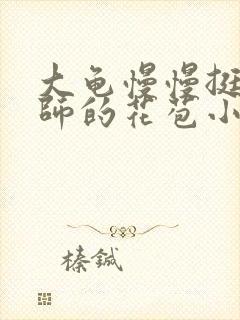 大龟慢慢挺进老师的花苞小说封面