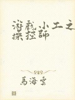 游戏小工之元素操控师封面