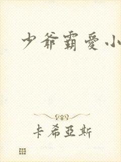 少爷霸爱小丫头