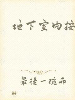 地下室肉按摩椅