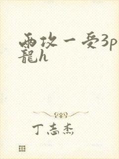 两攻一受3p双龙h封面