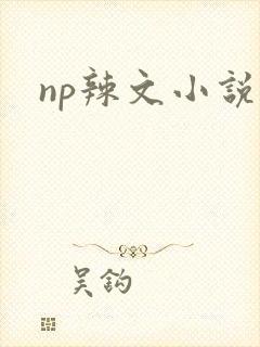 np辣文小说