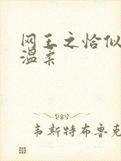 网王之恰似你的温柔