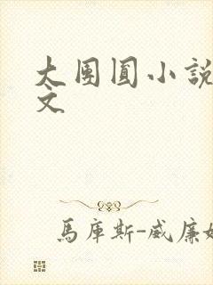 大团圆小说集全文