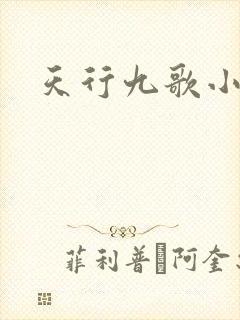天行九歌小说