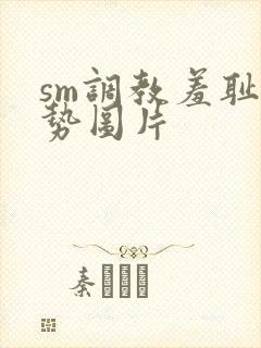 sm调教羞耻姿势图片