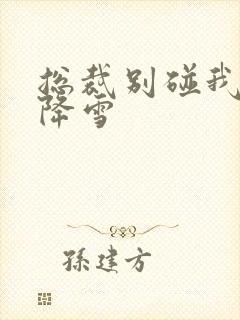 总裁别碰我 韩降雪