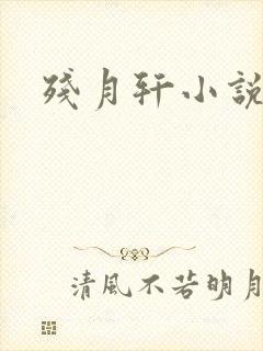残月轩小说网
