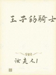 王子的骑士
