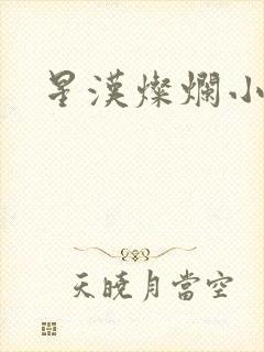 星汉灿烂小说