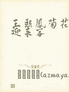 王熙凤菊花门初迎来客封面