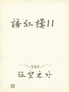 诱红楼11