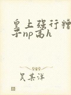 皇上强行糟蹋太子np高h