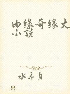 内缘奇缘大团圆小说