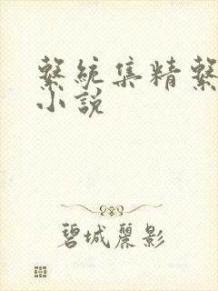 系统集精系统 小说封面