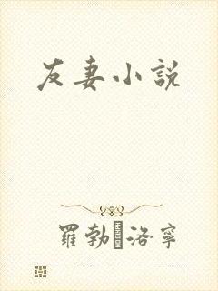 友妻小说封面