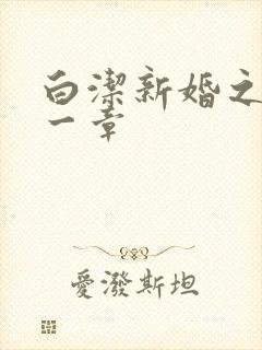 白洁新婚之夜第一章