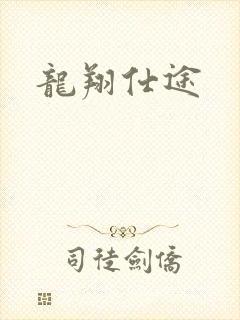 龙翔仕途