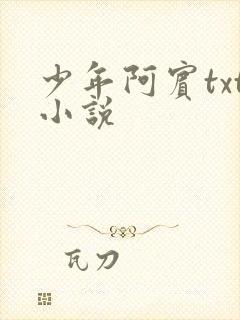 少年阿宾txt小说