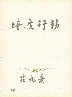 暗夜行动