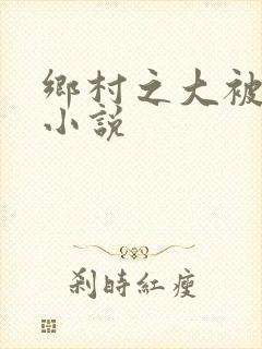 乡村之大被同眠小说封面