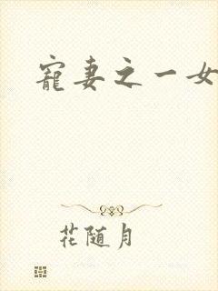 宠妻之一女二夫封面