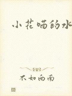 小花喵的水蜜桃封面