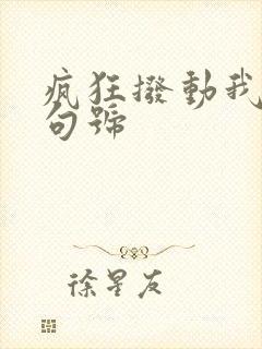 疯狂拨动我的小句号封面