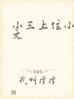 小三上位小说全文