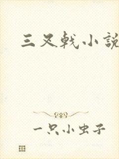 三叉戟小说封面